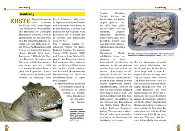 Die Chinesische Weichschildkröte: Pelodiscus sinensis (Buchreihe Art für Art Terraristik)