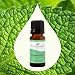 Plant Therapy Peppermint Essential Oil 10 mL (1/3 oz) 100% Pure, Undiluted, Natural Aromatherapy for Diffuser & Topical Use, Digestion, Respiratory, & Massage, Peppermint Oil for Skin & Hair