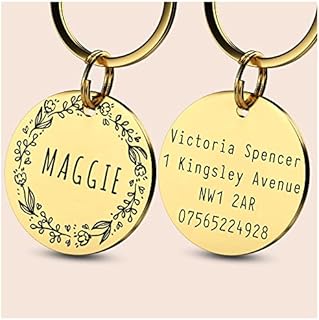 HappyPaws Pet ID Tag Engraved Name Identification Plate for Dogs, Personalized Dog Tag, Pet Accessories | Collar Tag for Cats and Dogs (3. Steel, Design 2)