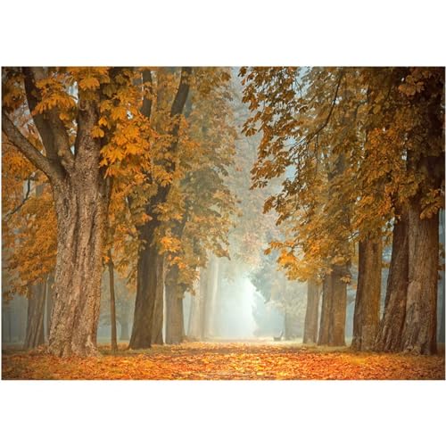Broderie diamant kit complet 80x100cm pour chasser le stress avec un grand tableau mural fait main