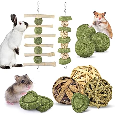 ERKOON Kaninchen Kauspielzeug, 11 Stück Natürlich Apfelholz Kauen Grasball Gras Kuchen für Häschen Chinchilla Hamster Meerschweinchen Rennmäuse Zahnpflege Cover