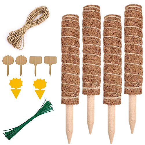 CCDSR- Moosstab für Pflanzen,pflanzstab Monstera, 4 Stück 30 cm kokosstab für Kletterpflanzen(mit 4*Bambusetikett+4*Kokosnussstift+2*Fliegenfallen+1 * 2m langes Hanfseil+20*Bündeldraht) Cover