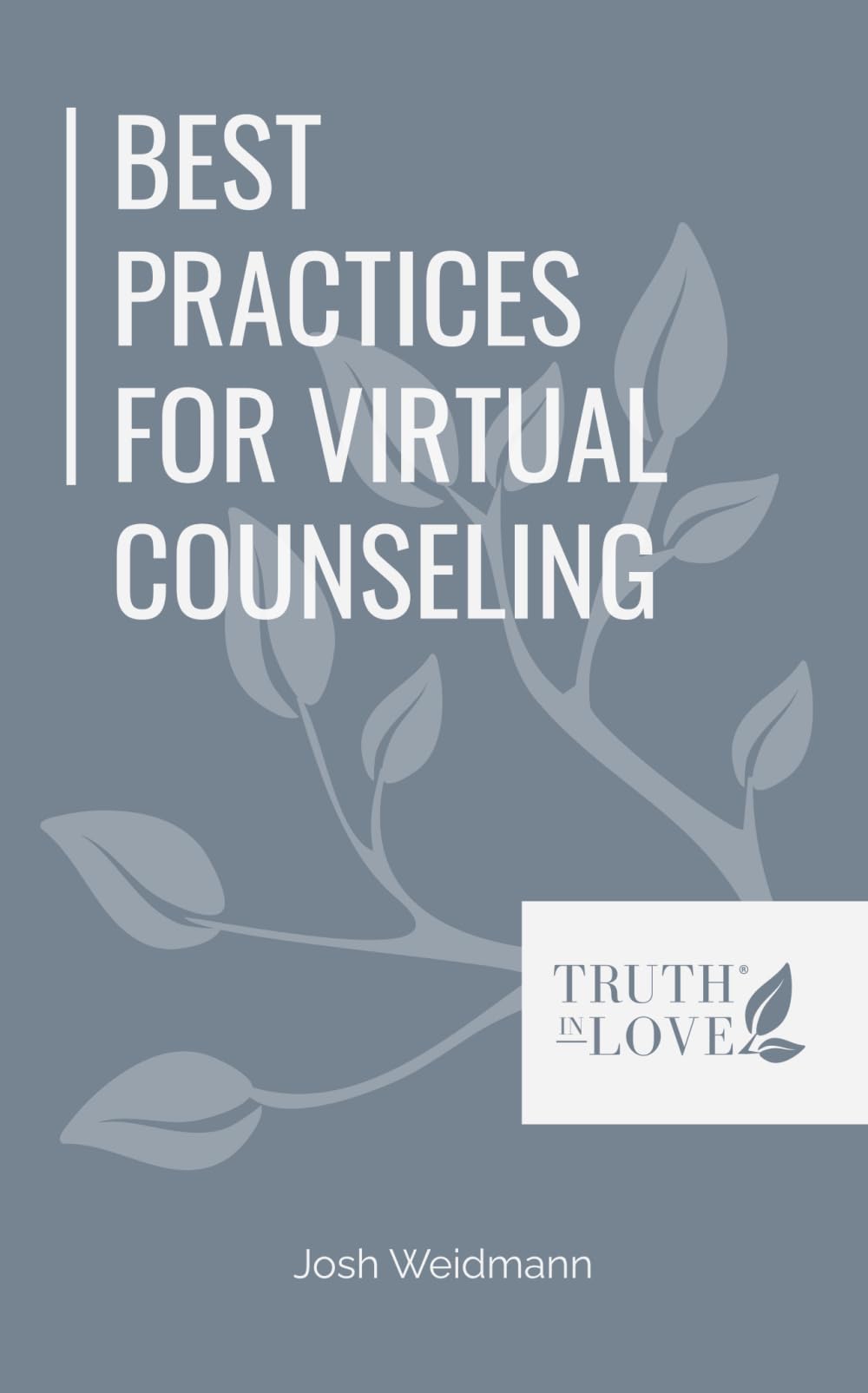 Best Practices for Virtual Biblical Counseling (Biblical Solutions Series)