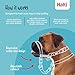 Halti Optifit Headcollar - Stop Your Dog Pulling on the Leash. Adjustable, Reflective and Lightweight, with Padded Nose Band. Dog Training Anti-Pull Collar for Small Dogs (Size Small)
