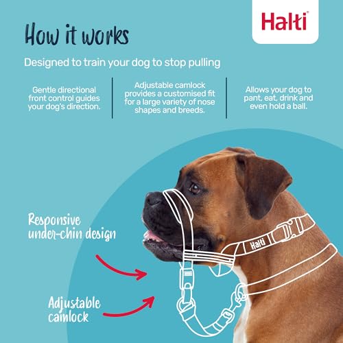 Halti Optifit Halfter und Trainingsleine Kombipack, Stop Dog Pulling on Walks with Halti, Inklusive Medium Optifit Halfter und Doppelendleine, Schwarz, Medium Halfter (14324W)