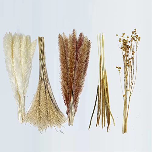 90Pcs Natural Dried Pampas Grass Bouquet for Home Decor - Fluffy Artificial Phragmites Dried Flowers - DIY Boho Plant for Floral Arrangements and Decorations