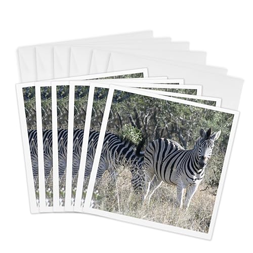 Cartes de vœux Afrique du Sud 2 Zebras : offrez un message original avec ce lot de 6 cartes