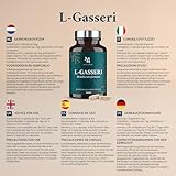 Apyforme - Lactobacillus Gasseri Bakterienstämme - Bis zu 50 Milliarden KBE/Tag - 60 Kapseln - 100% Französisch