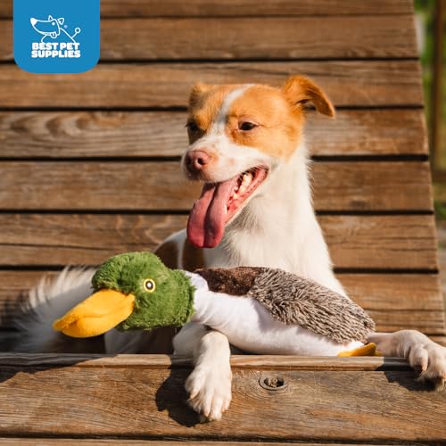 Image of Best Pet Supplies Interactive Squeaky Dog Chew Toy, Ideal Dog Toys for Chewers, Small, Medium & Large Dogs, and Fetch Lovers - Mallard Duck (Brown), Large