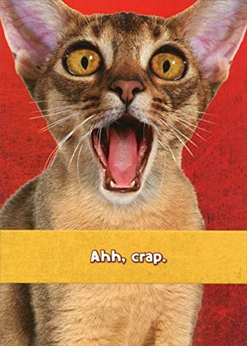 Designer Greetings Shocked Cat with Open Mouth Funny : Humorous Belated Birthday Card