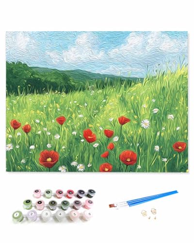 VamJump 数字油絵 手塗り 風景 雲 アウトドア 空 フィールド 花畑 DIY絵 初心者 時間をつぶす 壁飾り アートクラフト 絵画手芸キッ 絵の具をつける 塗りつぶし掛け 40x50cm