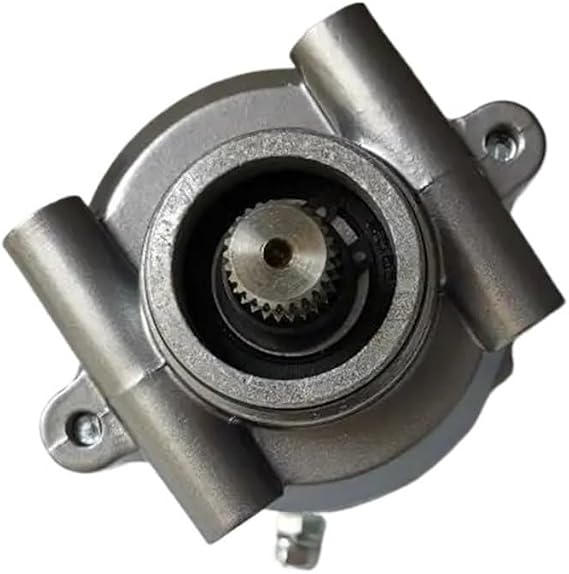 Starter Motor,Compatible With 253FMM Rebel CA250 CMX250 Tank Vision Baja Phoenix Regal Raptor DD250 CBT125 CBT150 CBT250 Jinlun Texan 250