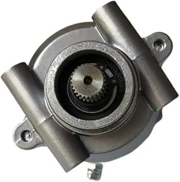 Starter Motor,Compatible With 253FMM Rebel CA250 CMX250 Tank Vision Baja Phoenix Regal Raptor DD250 CBT125 CBT150 CBT250 Jinlun Texan 250