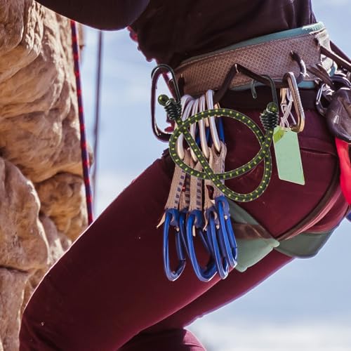 Heavy Duty Bungee Cord With Hooks, Thick Elastic Rope_desvips.com