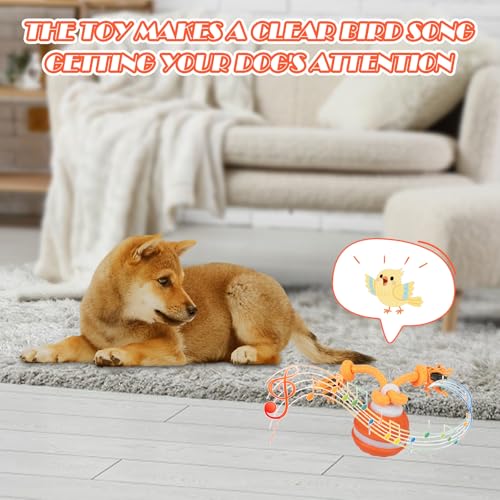 TZQFROCE Interaktives Hundespielzeug Hunde Ball Spielzeug Automatisch Rollender Ball für Hunde interaktiver Hundespielball für Aktivitäten und Unterhaltung