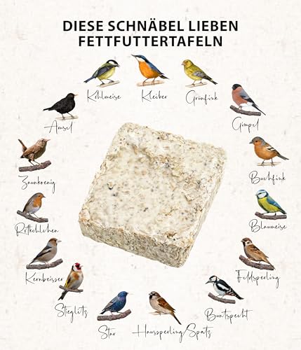 Dehner Natura Premium Nourriture pour Oiseaux Sauvages, Nourriture pour oisillons, 100 g – Image 5