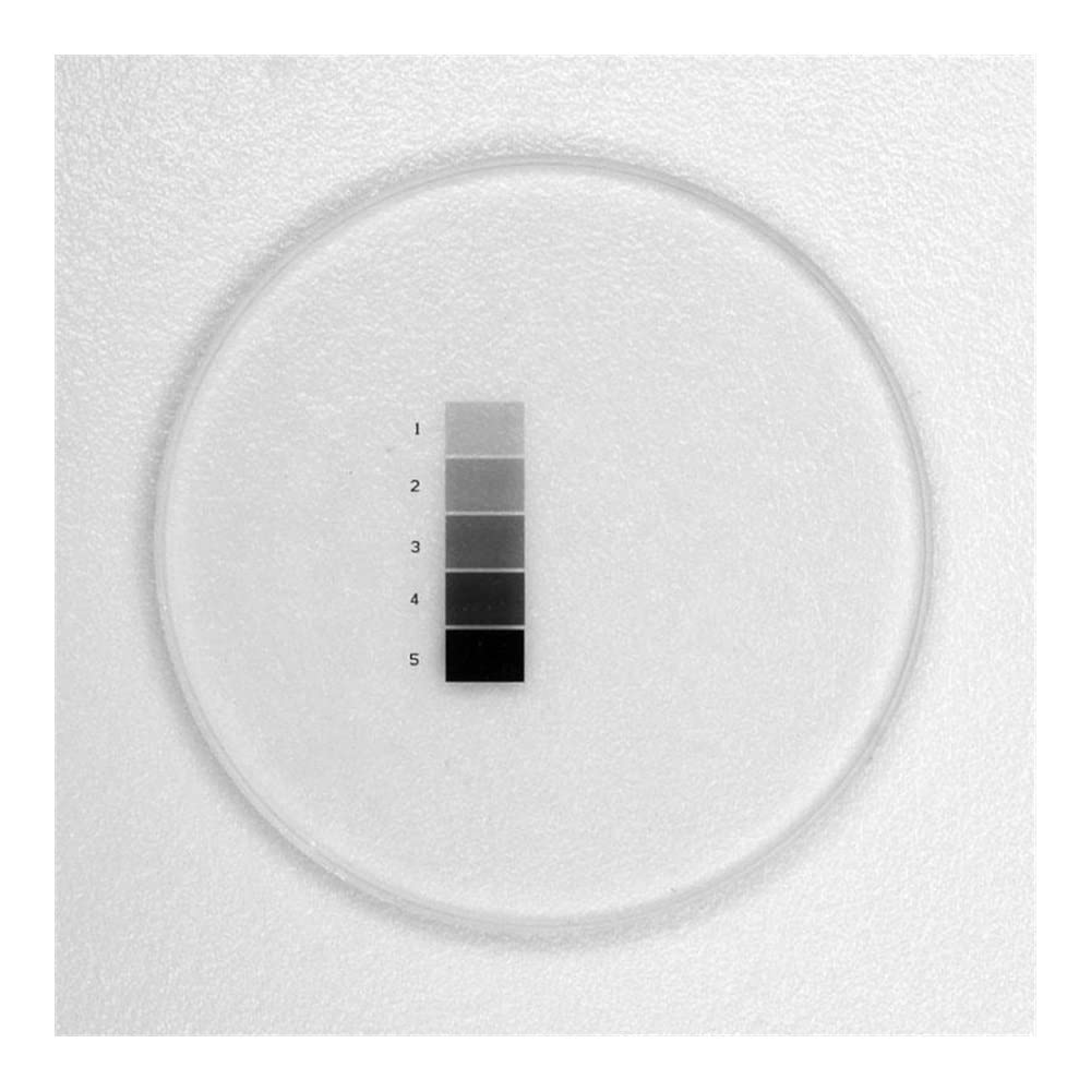 Accesorios para Microscopios 941 Portaobjetos de micrómetro Ocular de Vidrio microscópico for retícula Durabilidad Y Rendimiento Confiable (Color : 20mm)