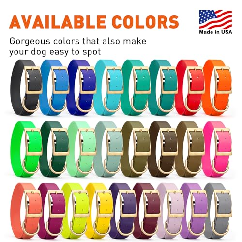 Image of Viper Biothane Heavy Duty Waterproof Dog Collar Strong Coated Nylon Webbing w /Solid Brass Hardware Odor-Proof Easy to Clean High Performance Fits Small Medium or Large Dogs, Treasure Gold