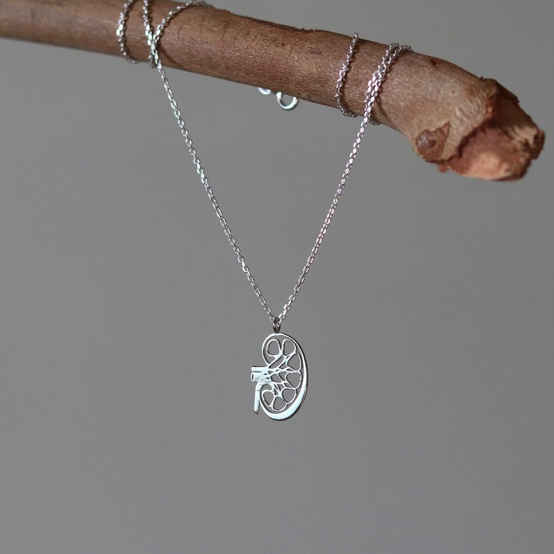 Kidney Anatomy Silver Pendant Human Organ jewellery Handcut pendant for her Biology jewelry Kidney necklace Gift for Doctor's Jewelry Craft, Mom, Father, Best Empoly image 4