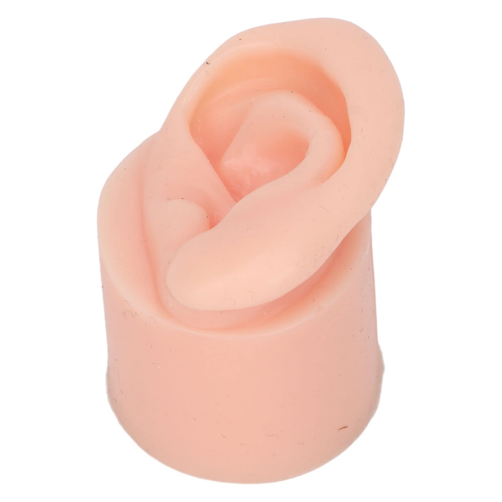 Silicone Ear Model,Flexible Soft Reusable High Simulation Piercing Ear Model for Education Display Light Skin(Right)