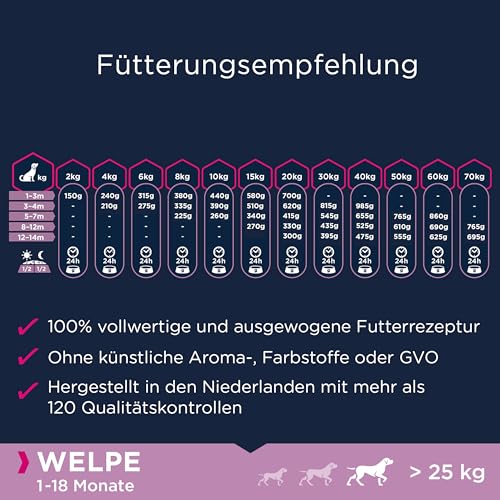 Eukanuba Welpenfutter getreidefrei mit Lamm für große Rassen - Trockenfutter ohne Getreide für Junior Hunde, 12 kg