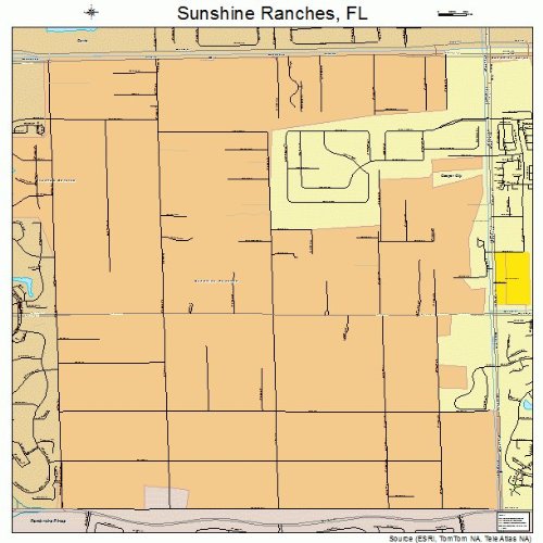 Large Street & Road Map of Sunshine Ranches, Florida FL Printed