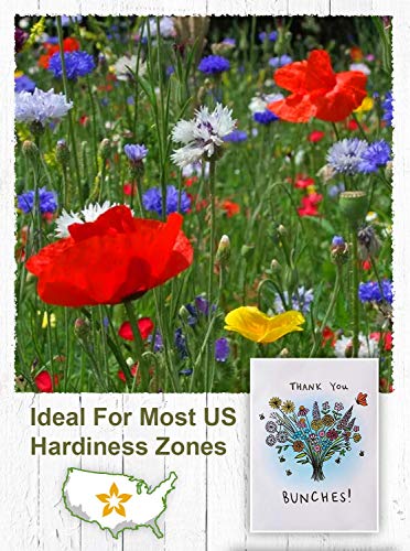 American Meadows Wildflower Seed Packets "Thank You Bunches" Party Favors (Pack Of 20) - Express Gratitude With A Wildflower Seed Mix, Great Addition Or Alternative To Thank You Cards #TOP4