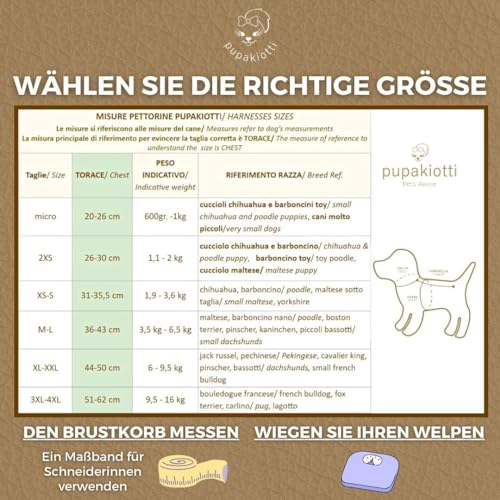 Hundegeschirr aus Leder für kleine und mittelgroße Hunde von Pupakiotti
