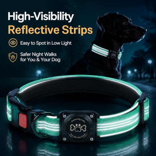 Image of Geamen Waterproof Dog Collar QR Code Reflective Collar Teal,S