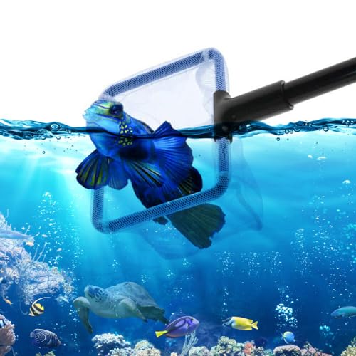 Geoyien Aquarium reinigungsset, Aquarium zubehoer, Aquarium wasserwechsel, Reinigungsset für Aquarien und Aquarien, Siphon und 5 Reinigungswerkzeuge, abnehmbar, für Wasserwechsel und Reinigung