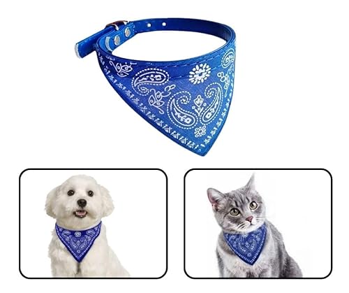 Coleira Bandana Para Cachorros E Gatos Pet Porte Pequeno E Medio Coleira Estilosa (Azul)