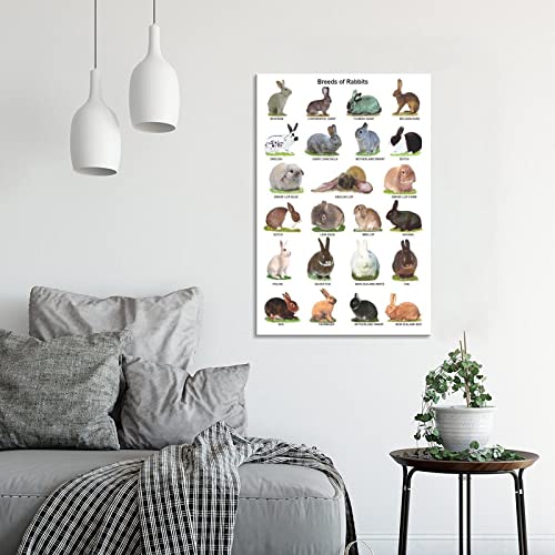 Animal Posters Rabbit Breeds Poster Canvas Poster Wall Art Decor Print Paintings For Living Room 24X36Inch(60X90Cm) Unframe-Style #TOP3