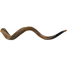 Kudu Yemenite Shofar Horn Judaica Kosher Helf Natural From Israel L 48"-49"