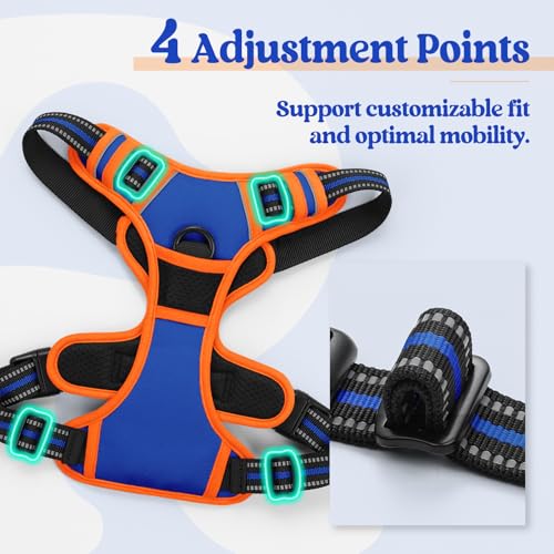 Image of rabbitgoo Dog Harness No Pull with 2 Leash Clips, Adjustable Soft Padded, Reflective Oxford No Choke Pet Vest with Easy Control Handle for Medium Sized Dogs, Blue & Orange, M