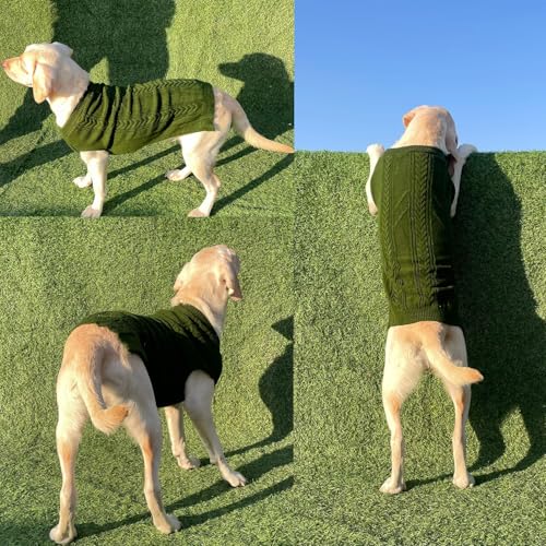 Image of Lulala Turtleneck Dog Sweater, Dog Winter Clothes for Small Dogs Boy Girl, Warm Dog Sweater for Small Dog (Green-12 Inch)