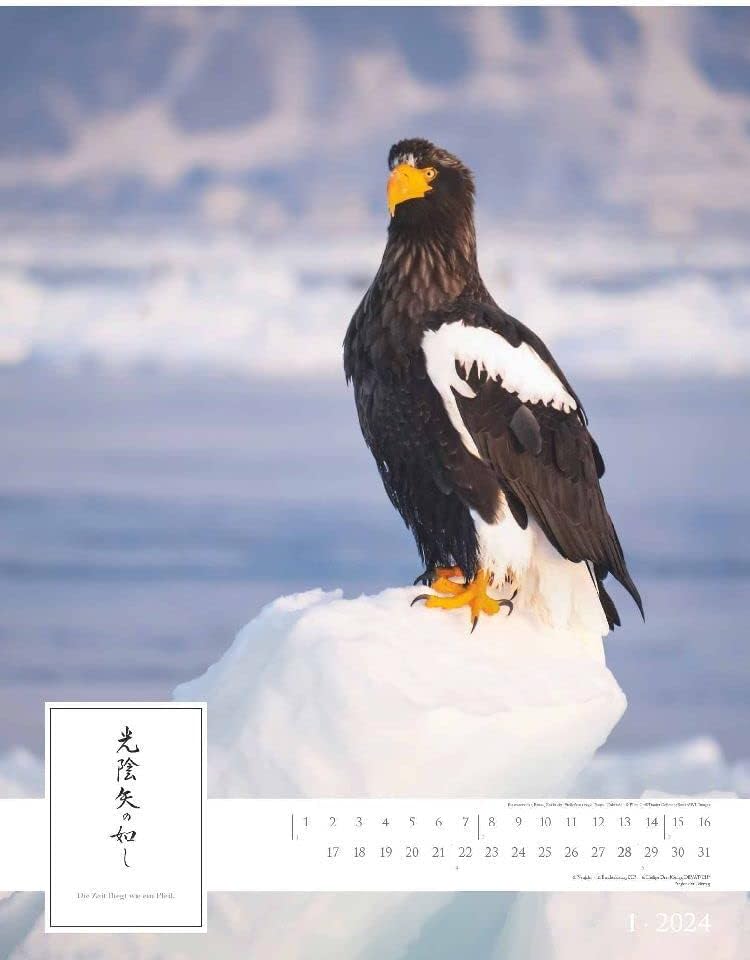 Spirit of Japan 2024 Picture Calendar XXL 48 x 64 cm with Japanese Calligraphy, Includes Translation Landscape Calendar Wall Calendar Wall Planner