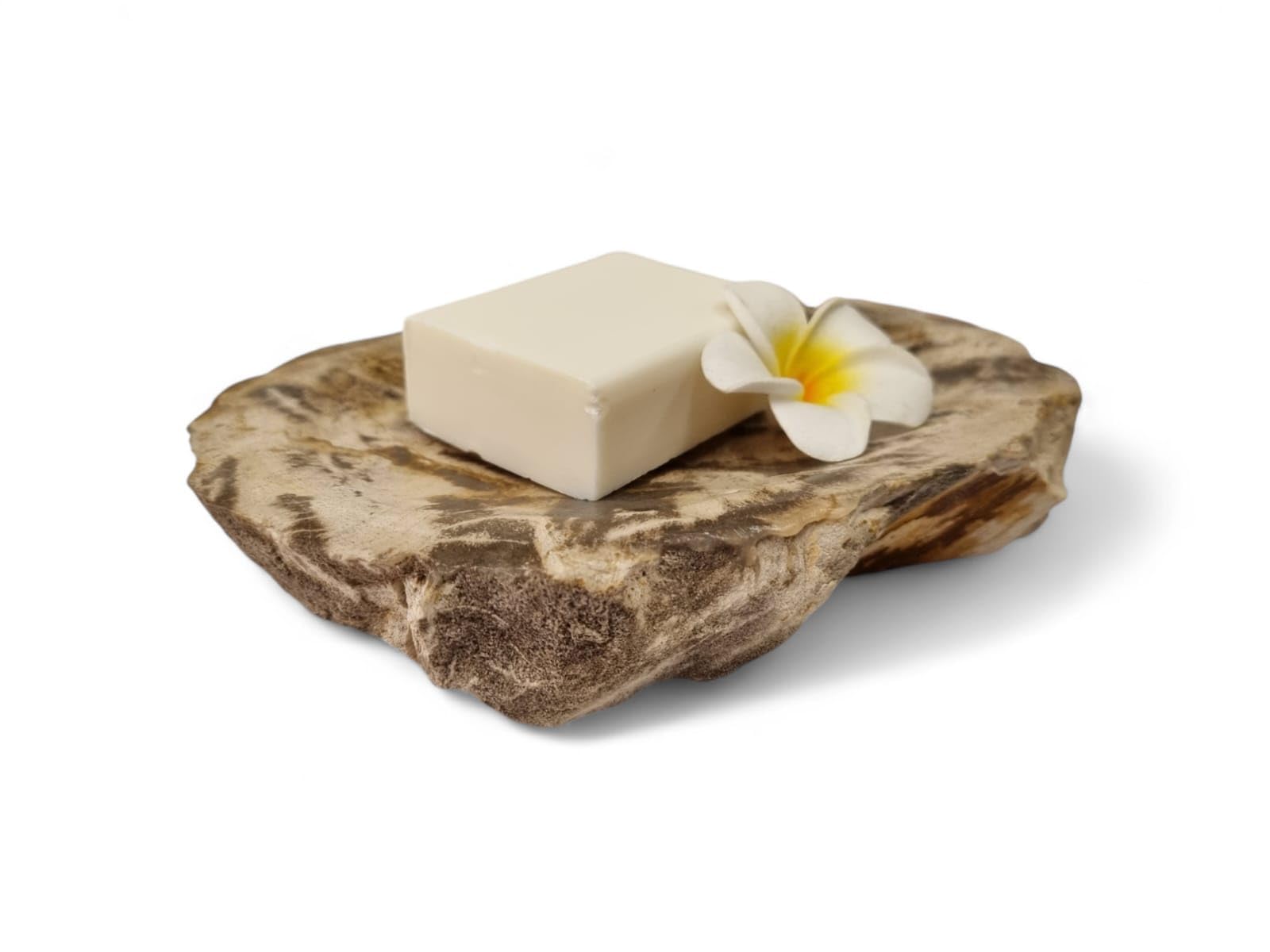 Jabonera de madera fosilizada - 10 x 15 cm piedra natural jabonera en aspecto moderno accesorio de baño