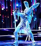 TianSW The Masked Singer Season 2 (14inch x 16inch/35cm x 39cm) Waterproof Poster No Fading