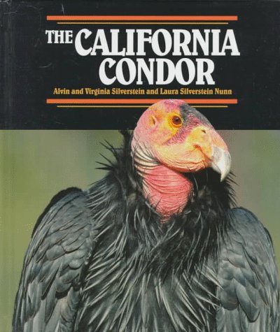 The California Condor The California Condor