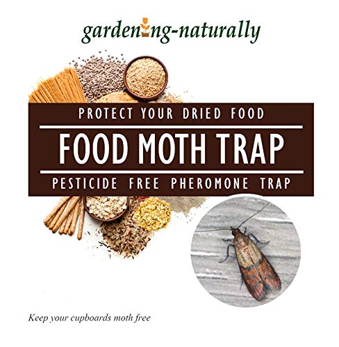Food Moth Pheromone Traps (2 Pack)