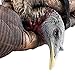 Avian X LCD Feeder Hen Turkey Decoy