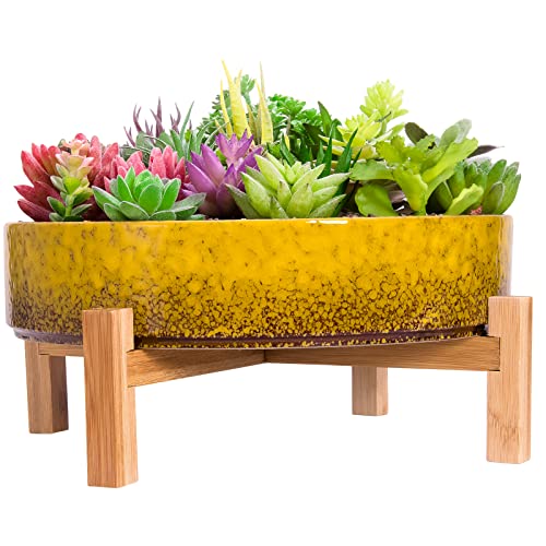 Pots pour plantes grasses - Grand pot de fleurs peu profond avec drainage pour plantes grasses pour intérieur/extérieur, pot de bonsaï en céramique de 29 cm avec support en bambou (jaune) Cover