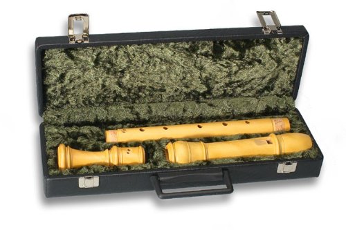Mollenhauer 7103 Etui (Tenorblockfl.)