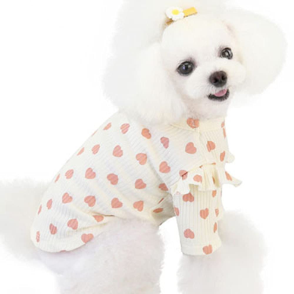 T-shirt à capuche en coton pour animaux pour les promenades d'automne fraîches