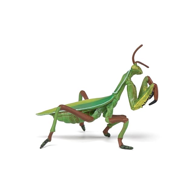 Foto 6 de 8 de Papo -Figuras pintadas a Mano -Vida Silvestre-Mantis religiosa-50244-Coleccionable -para Niños y Niñas de 3…