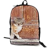 Kapazität: Eine große Haupttasche mit Reißverschluss innen und zwei Seitentaschen aus Netzstoff, groß genug, um Ihre Bücher, Wasserbecher, Regenschirm und bald zu verstauen.