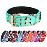 Yunleparks Heavy Duty Tactical Dog Collar with Neoprene Padded and Metal Buckle, Reflective Nylon for Medium to Large Dogs(Teal, Large)