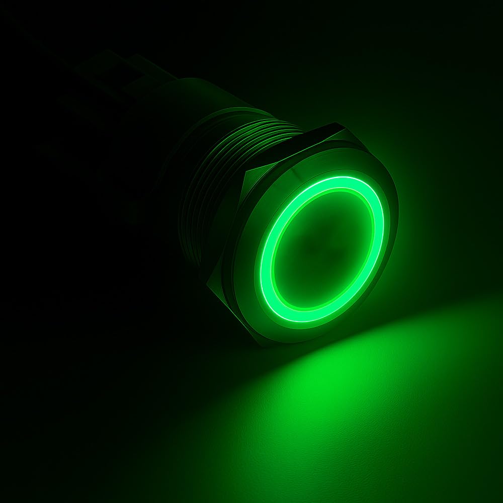 Gebildet 0,87''/22mm Roestvrijstalen Vergrendelbare Drukknopschakelaar 230V AC 3A Voedingssymbool LED 1NO1NC SPDT AAN Uit Waterdichte Tuimelschakelaar met Draadstekker (Groene LED
