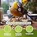 Eggersmann volaris Vogelfutter Wildvögel ganzjährig 3 kg [Fettkörner] Wildvogelfutter für das ganze Jahr | Fettreiches Streufutter für alle Vogelarten