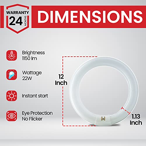 Bulbmaster Fc12T9/D 32 Watts 12 Inch Round T9 Fluorescent Circular Light Bulb, Daylight 6500K, Fc12T9 1930 Lumens G10Q 4-Pin Base 32W Circline Ceiling Lights #TOP1